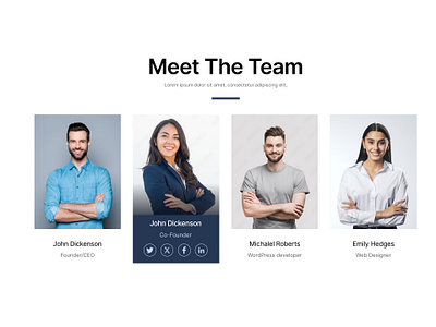 Meet The Team UI design ui ux visual