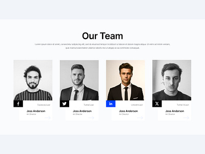 Meet The Team UI interface our team ui ui visual design