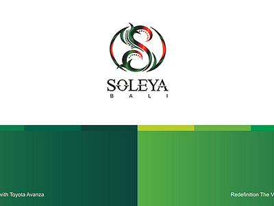 Developing Valuable Brand Design of SOLEYA BALI VILLA 2014 branding design graphic design illustration logo typography