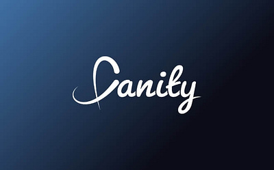 Fanity App branding graphic design logo