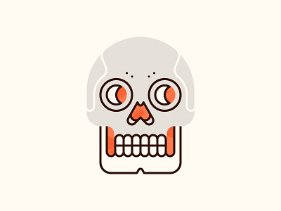 Skull anatomy bones deat death halloween illustration night skull unsplash