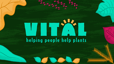 Vital - Horticultural Social Enterprise brand identity branding colourful design gardening graphic design icon illustration logo social enterprise texture vector vibrant colours