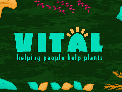 Vital - Horticultural Social Enterprise brand identity branding colourful design gardening graphic design icon illustration logo social enterprise texture vector vibrant colours