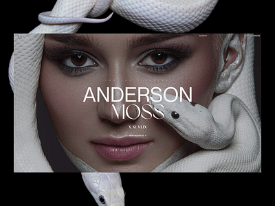 Anderson Moss - CTA Banner 3d branding graphic design ui