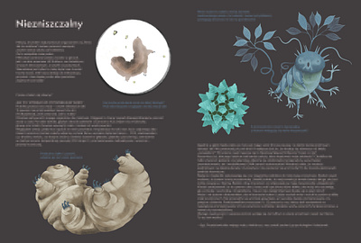 Tardigrades art design digital art graphic design illustrate illustration tardigrades water bears