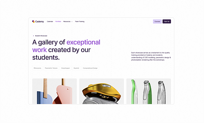 Course Website Portfolio course website design ui web design webflow