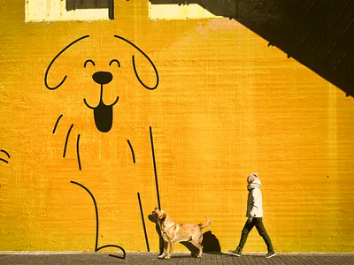 TidyTails Grooming Brand branding design graphic design illu illustration logo typography