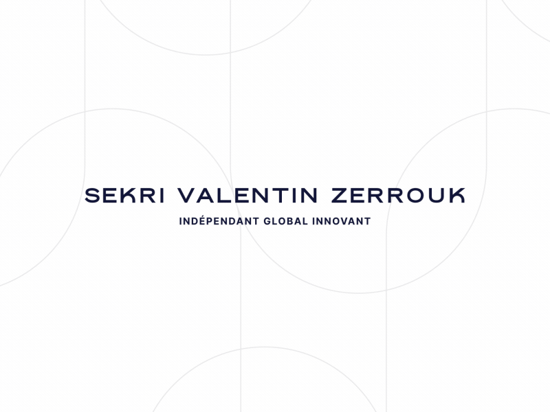 SEKRI VALENTIN ZERROUK branding design illustration interface ui ux webdesign