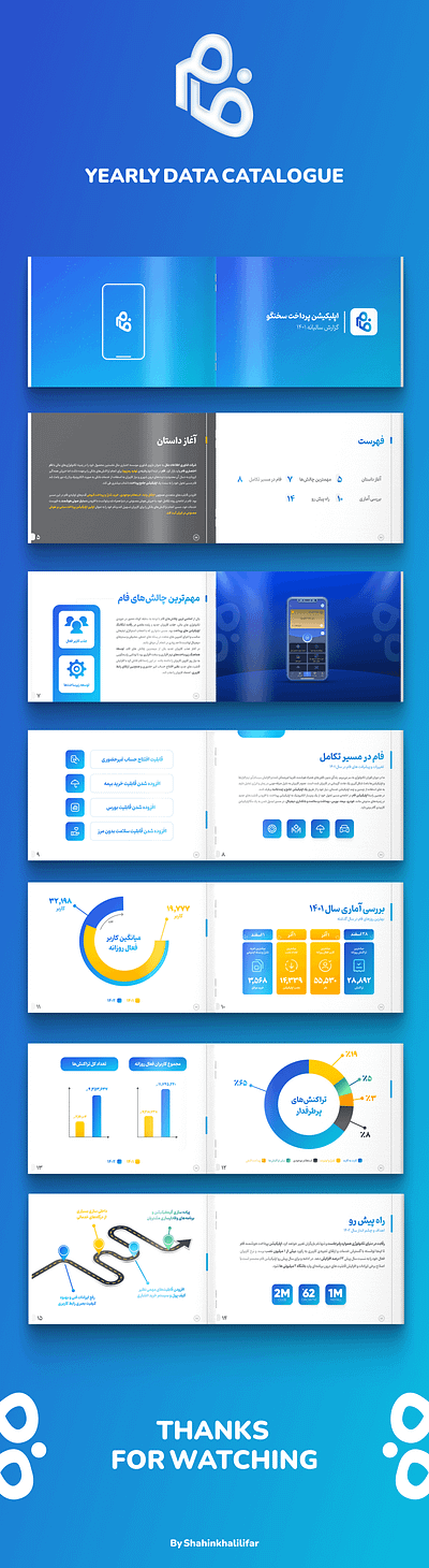 FAAM : Yearly Data Catalogue branding graphic design logo