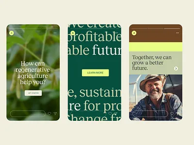 Arva | Rebrad & Social Media art direction brand branding design graphic graphic design logo social media stories ui