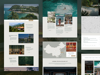 Banyan Tree Website Revamp ui ux webdesign