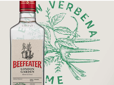 Beefeater Gin labels Illustrated by Steven Noble artwork beefeater gin branding design drawing engraving etching graphic art illustration line art scratchboard steven noble woodcut