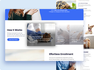 How It Works: pet health care animals expanding health health care healthcare hover how it works information interaction pet pet care pet health care pet healthcare pets ui ux web web design website website design