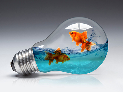 Goldfish in Bulb graphic design