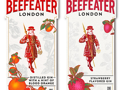 Beefeater Gin Custom Illustrations by Steven Noble artwork beefeater gin botanical art branding design engraving etching graphic art illustration line art scratchboard steven noble woodcut