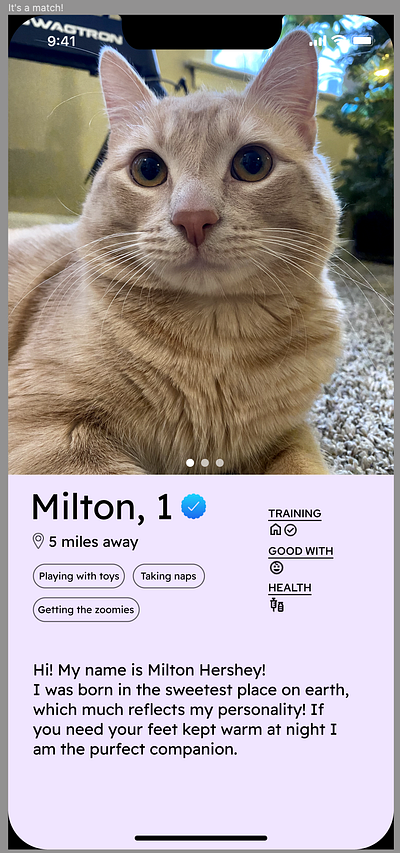 Pet Finding App, PetResQ app design figma graphic design user interface