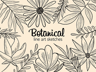 Set of graphic botanical elements. branding card design flowers graf graphic design graphik plants print printing