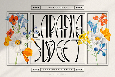 Lapania Sweet Typeface design flower font fonts letteing sansserif typeface