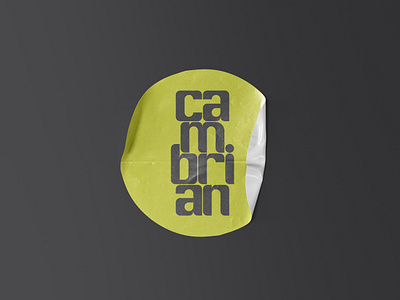 Cambrian - Sustainable Apparel. apparel brand branding clothing graphic design logo project sustainable visual identity