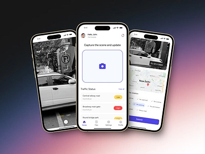 Traffic Offense UI mobile ui no parking traffic traffic offense traffic police ui