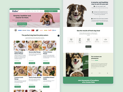 Freshly Cooked Dog Food - Kabo cat dog food ecomerce food fresh food green landing page pet shopify ui vet