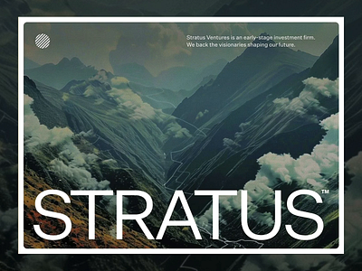 Stratus Ventures (Webflow Build) clean landing light parallax simple vc web webdesign website