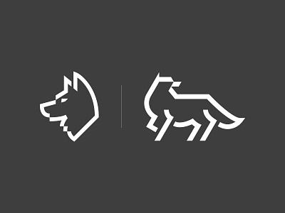 Wolf graphic design illustration vector