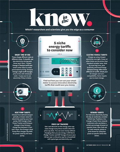 5 niche energy tariffs to consider now (Which?) energy illustration infographic meter smart