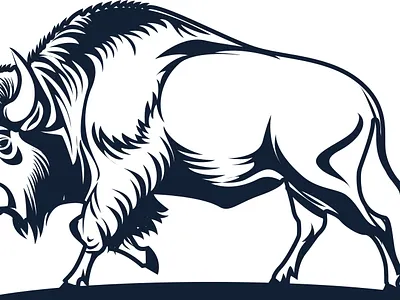 Bison Drawing artwork american culture
