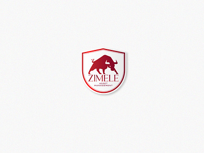 ZIMELE Asset Management branding design graphic design icon illustration logo minimal ui ux vector