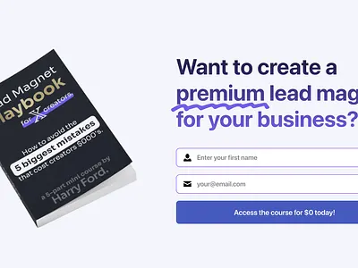 Lead Funnel Example lead funnel lead magnet