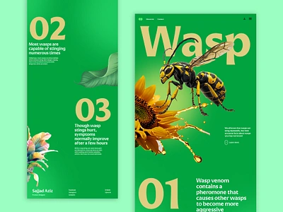 Wasp Web UI 2025 design figma insect new concept product sting trends wasp wasp design wasp web web ui