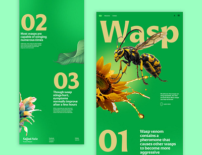 Wasp Web UI 2025 design figma insect new concept product sting trends wasp wasp design wasp web web ui