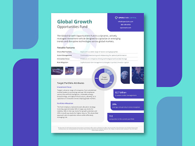 Financial Onepager - OpenStark Capital - Global Growth Fund branding design graphic design onepager print design