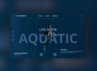 AQUATIC WEBSITE branding graphic design site ui web website