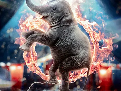 PROPOSAL ANIMAL CARE FOR PETA SUMMER