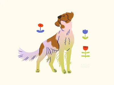 Brittany Dog Illustration brittany digital illustration dog dog art dog illustration dogs gradient rainbow spot illustration