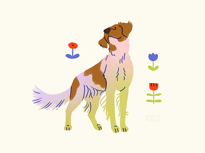 Brittany Dog Illustration brittany digital illustration dog dog art dog illustration dogs gradient rainbow spot illustration