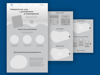 Prototype | landing page of dolphing show design landing prototype show ui ux