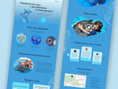 Landing page | Dolphing show design dolphin landing ui ux