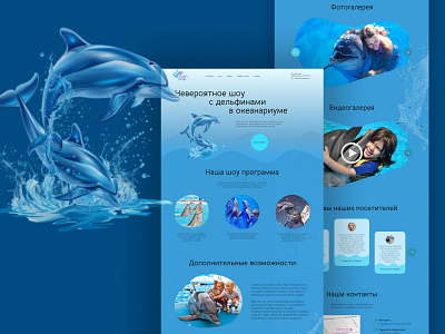 Landing page concept dolphin show concept design landing ui ux