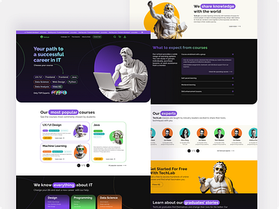 IT professions ONLINE SCHOOL branding ui ux uxui web design