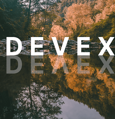 Devex Hub (Creative Minds) graphic design ui