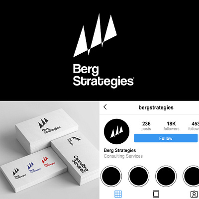 Berg Strategies / Consulting Services