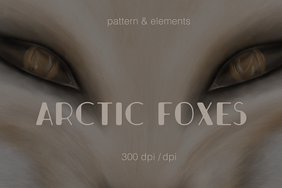 Arctic Foxes animation branding graphic design logo motion graphics