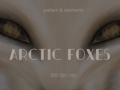 Arctic Foxes animation branding graphic design logo motion graphics