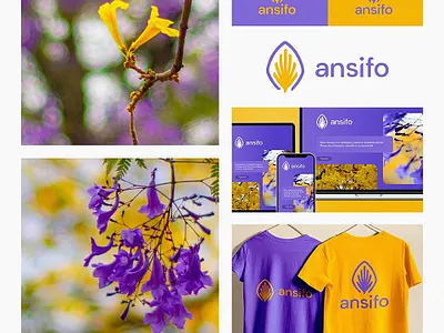 ansifo | Identidad Visual adobe illustrator branding design graphic design logo ui ux