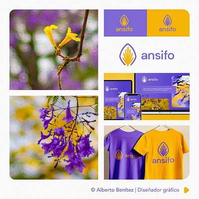 ansifo | Identidad Visual adobe illustrator branding design graphic design logo ui ux