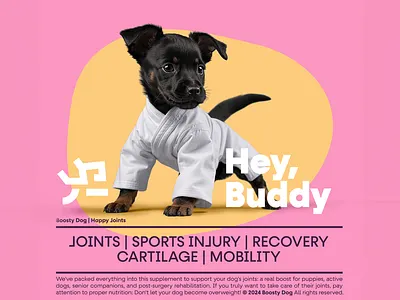 Boosty Dog branding dog dog health graphic design identity identity. packaging design key visual logo