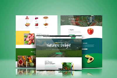 Nature Delight Wholesale Distribution: Fresh Produce Website responsive design seo uiux web design web development wordpress